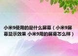 小米9使用的是什么屏幕（小米9屏幕顯示效果 小米9用的屏幕怎么樣）