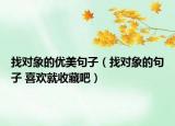 找對象的優(yōu)美句子（找對象的句子 喜歡就收藏吧）