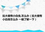 拉大便有小白蟲,怎么辦（拉大便有小白蟲怎么辦 一起了解一下）