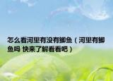 怎么看河里有沒有鯽魚（河里有鯽魚嗎 快來了解看看吧）