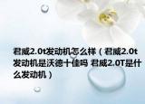君威2.0t發(fā)動(dòng)機(jī)怎么樣（君威2.0t發(fā)動(dòng)機(jī)是沃德十佳嗎 君威2.0T是什么發(fā)動(dòng)機(jī)）