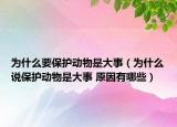 為什么要保護(hù)動(dòng)物是大事（為什么說保護(hù)動(dòng)物是大事 原因有哪些）