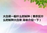 大白菜一般什么時候種（惠農區(qū)什么時候種大白菜 簡單介紹一下）