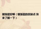 銀漸層好嘛（銀漸層的優(yōu)缺點(diǎn) 快來了解一下）
