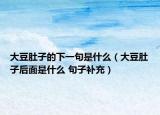 大豆肚子的下一句是什么（大豆肚子后面是什么 句子補充）