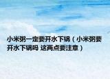 小米粥一定要開(kāi)水下鍋（小米粥要開(kāi)水下鍋嗎 這兩點(diǎn)要注意）