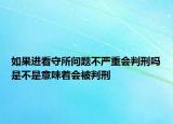 如果進看守所問題不嚴重會判刑嗎是不是意味著會被判刑