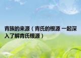 青族的來(lái)源（青氏的根源 一起深入了解青氏根源）