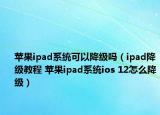 蘋果ipad系統(tǒng)可以降級嗎（ipad降級教程 蘋果ipad系統(tǒng)ios 12怎么降級）
