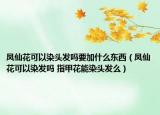 鳳仙花可以染頭發(fā)嗎要加什么東西（鳳仙花可以染發(fā)嗎 指甲花能染頭發(fā)么）