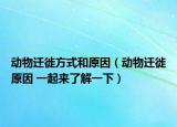 動物遷徙方式和原因（動物遷徙原因 一起來了解一下）
