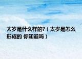 太歲是什么樣的?（太歲是怎么形成的 你知道嗎）