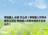 怪物獵人 冰原 怎么進(jìn)（怪物獵人世界冰原怎么開啟 怪物獵人世界冰原進(jìn)不去怎么辦）