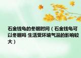 石金錢龜?shù)亩邥r(shí)間（石金錢龜可以冬眠嗎 生活受環(huán)境氣溫的影響較大）