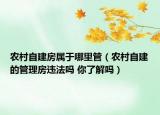 農(nóng)村自建房屬于哪里管（農(nóng)村自建的管理房違法嗎 你了解嗎）