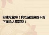 狗能吃鹽嘛（狗吃鹽到底好不好 下面給大家答復(fù)）