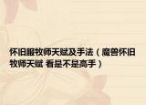 懷舊服牧師天賦及手法（魔獸懷舊牧師天賦 看是不是高手）