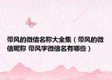 帶風(fēng)的微信名稱大全集（帶風(fēng)的微信昵稱 帶風(fēng)字微信名有哪些）