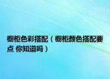 櫥柜色彩搭配（櫥柜顏色搭配要點 你知道嗎）