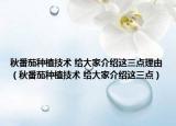 秋番茄種植技術(shù) 給大家介紹這三點(diǎn)理由（秋番茄種植技術(shù) 給大家介紹這三點(diǎn)）