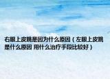 右眼上皮跳是因?yàn)槭裁丛颍ㄗ笱凵掀ぬ鞘裁丛?用什么治療手段比較好）