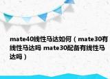 mate40線性馬達(dá)如何（mate30有線性馬達(dá)嗎 mate30配備有線性馬達(dá)嗎）