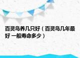 百靈鳥養(yǎng)幾只好（百靈鳥幾年最好 一般壽命多少）