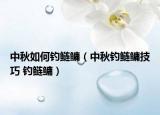 中秋如何釣鰱鳙（中秋釣鰱鳙技巧 釣鰱鳙）