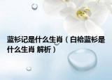 藍(lán)衫記是什么生肖（白袷藍(lán)衫是什么生肖 解析）