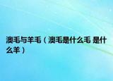澳毛與羊毛（澳毛是什么毛 是什么羊）