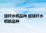 矮桿水稻品種 超矮桿水稻新品種