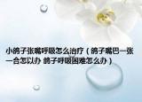 小鴿子張嘴呼吸怎么治療（鴿子嘴巴一張一合怎以辦 鴿子呼吸困難怎么辦）
