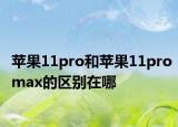 蘋果11pro和蘋果11promax的區(qū)別在哪