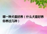 哪一種犬最好養(yǎng)（什么犬最好養(yǎng) 你養(yǎng)過幾種）