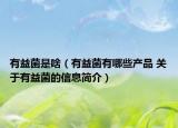 有益菌是啥（有益菌有哪些產(chǎn)品 關(guān)于有益菌的信息簡介）