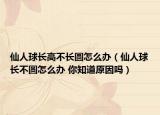 仙人球長高不長圓怎么辦（仙人球長不圓怎么辦 你知道原因嗎）