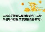 三股麻花辮編法視頻慢動作（三股辮慢動作教程 三股辮慢動作編發(fā)）