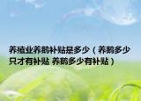 養(yǎng)殖業(yè)養(yǎng)鵝補(bǔ)貼是多少（養(yǎng)鵝多少只才有補(bǔ)貼 養(yǎng)鵝多少有補(bǔ)貼）