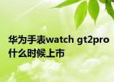 華為手表watch gt2pro什么時候上市