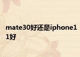 mate30好還是iphone11好