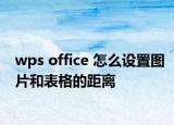 wps office 怎么設置圖片和表格的距離