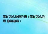 采礦怎么快速升級（采礦怎么升級 你知道嗎）