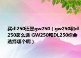 買dl250還是gw250（gw250和dl250怎么選 GW250和DL250你會選擇哪個(gè)呢）