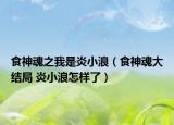 食神魂之我是炎小浪（食神魂大結局 炎小浪怎樣了）