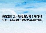菊花加什么一起泡更好喝（菊花和什么一起泡最好 這5種搭配最好喝）
