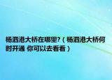 楊泗港大橋在哪里?（楊泗港大橋何時開通 你可以去看看）