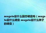 seagate是什么固態(tài)硬盤嗎（seagate是什么硬盤 seagate是什么牌子的硬盤）