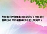 馬鈴薯的種植技術(shù)馬鈴薯簡介（馬鈴薯的種植技術(shù) 馬鈴薯種植技術(shù)是比較簡單）