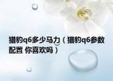 獵豹q6多少馬力（獵豹q6參數(shù)配置 你喜歡嗎）