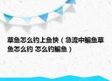 草魚怎么釣上魚快（急流中鳊魚草魚怎么釣 怎么釣鳊魚）